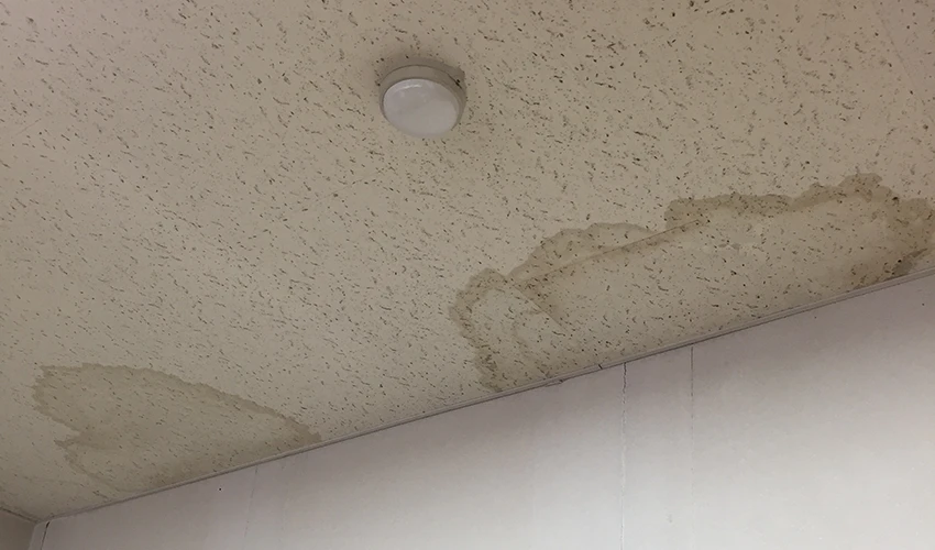 室内の天井チェック