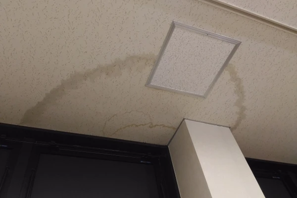 天井に広がる茶色い雨漏りのシミ