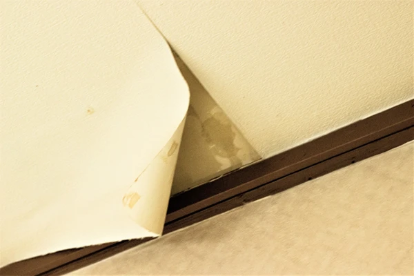 壁紙が浮いて剥がれかけている様子