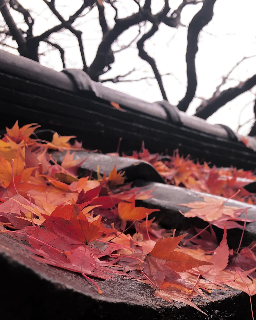 秋の落ち葉が積もった屋根のイメージ