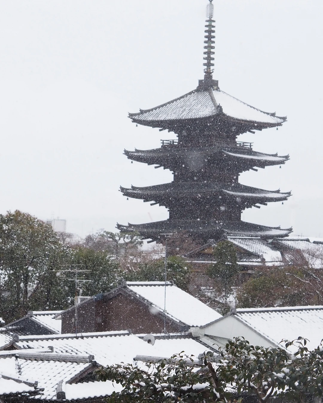 冬の京都の風景