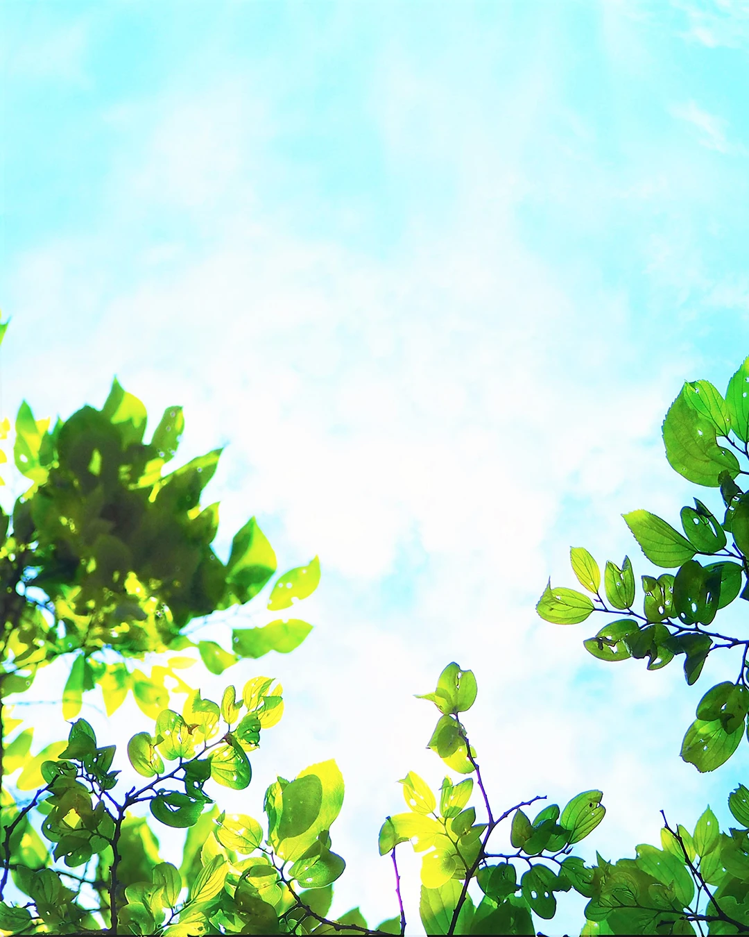 季節のイメージ